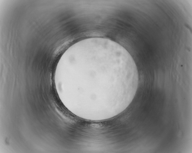 X0000103280302200808291052