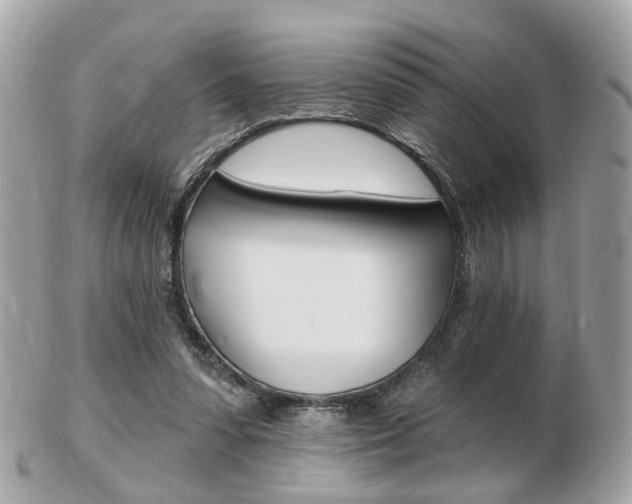 X0000103280303200808291052