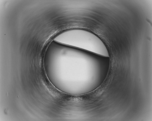 X0000103280304200808291052