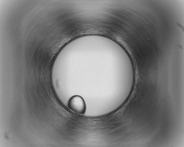 X0000103280305200808291052