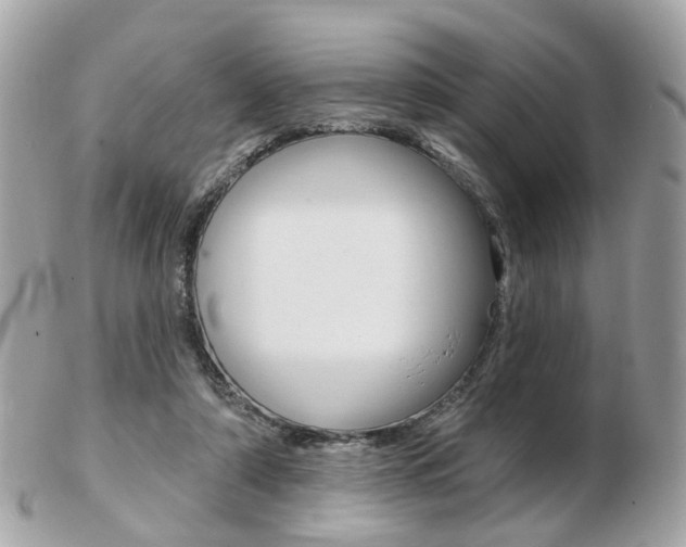X0000103280306200808291052