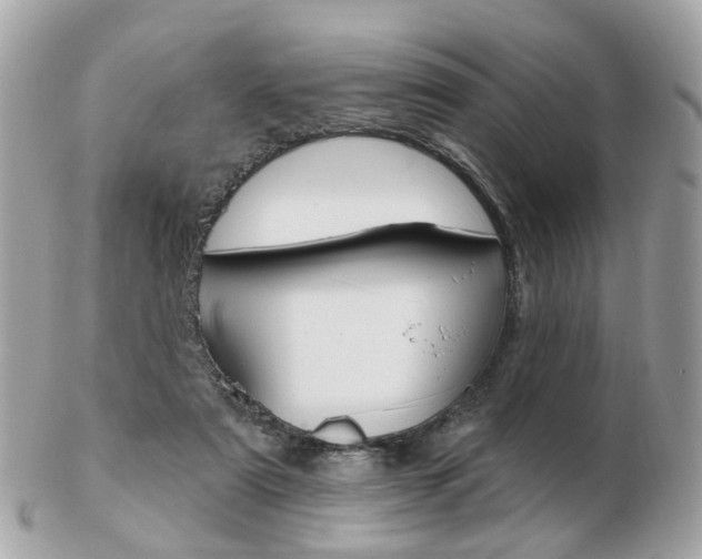 X0000103280307200808291052