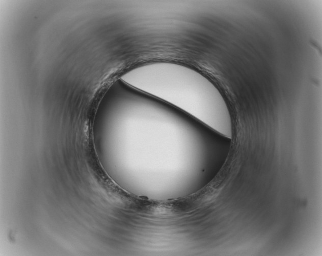 X0000103280308200808291052