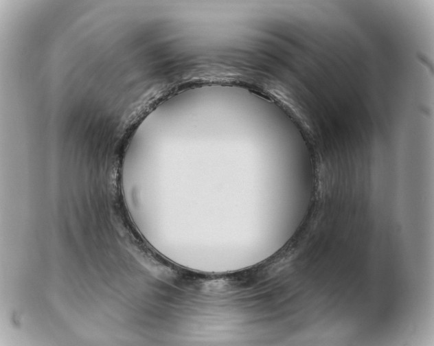 X0000103280309200808291052