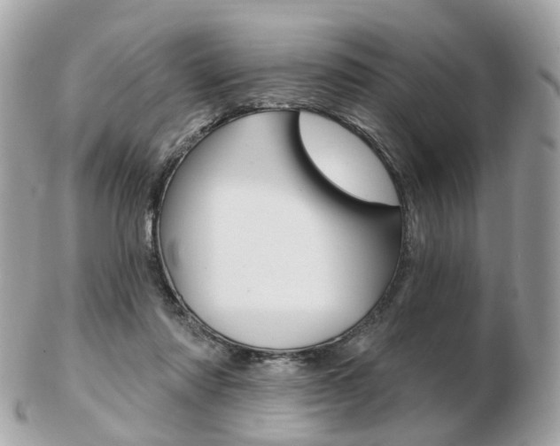 X0000103280310200808291052