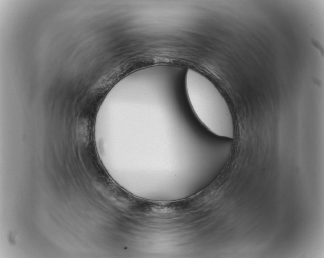 X0000103280311200808291052