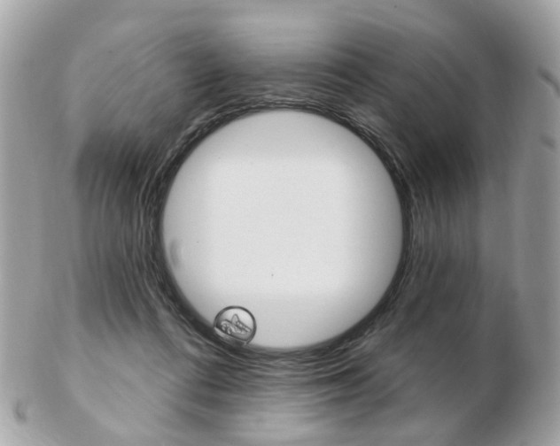 X0000103280312200808291052