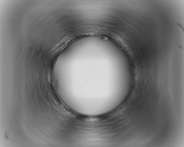 X0000103280313200808291052