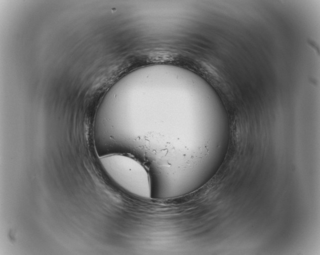 X0000103280315200808291052