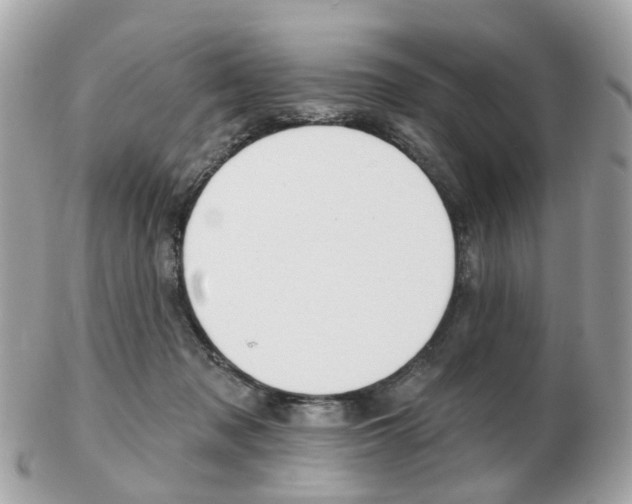 X0000103280317200808291052