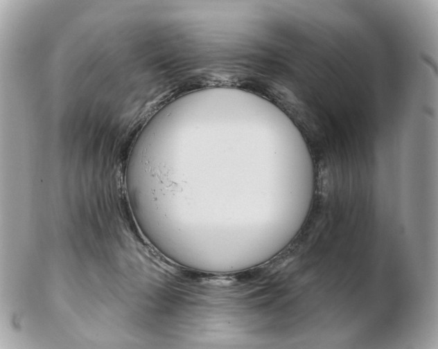 X0000103280318200808291052