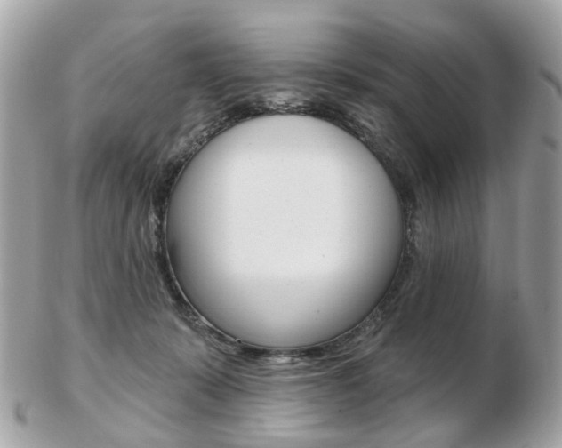 X0000103280319200808291052