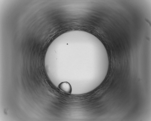 X0000103280320200808291052