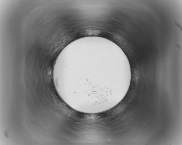 X0000103280321200808291052