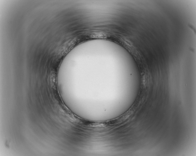 X0000103280322200808291052