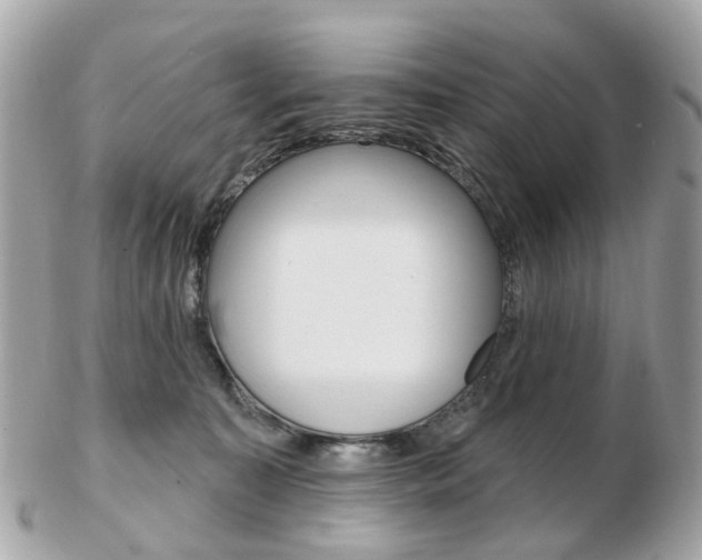 X0000103280323200808291052