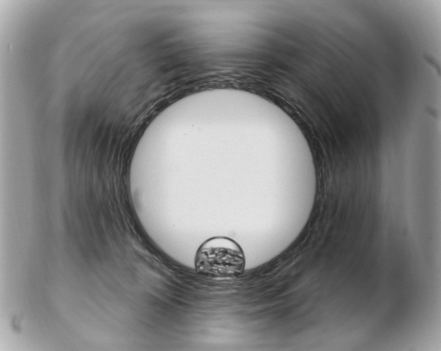 X0000103280324200808291052