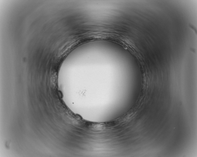 X0000103280325200808291052
