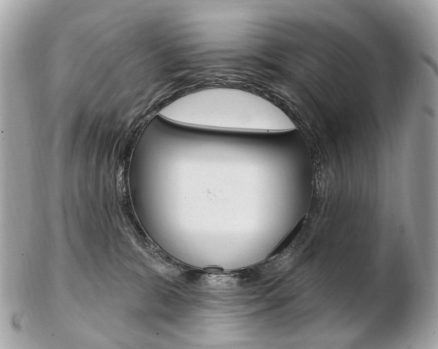 X0000103280327200808291051