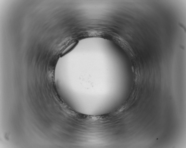 X0000103280329200808291051
