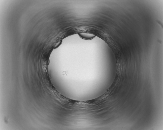 X0000103280331200808291051