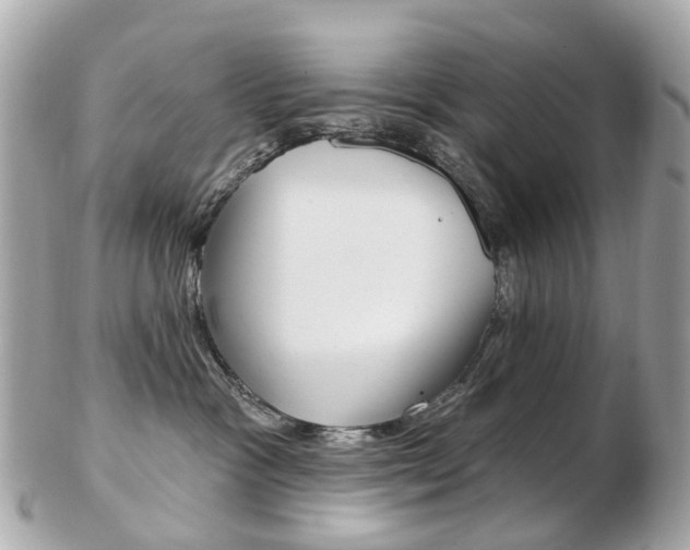 X0000103280333200808291051