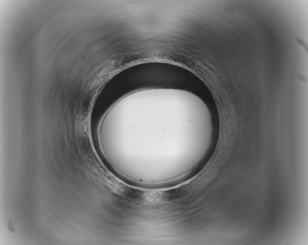 X0000103280336200808291051