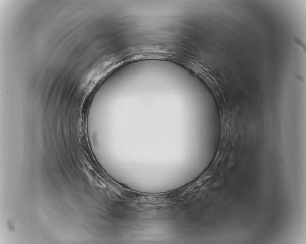 X0000103280338200808291050