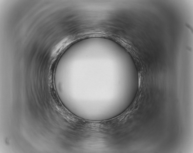 X0000103280339200808291050