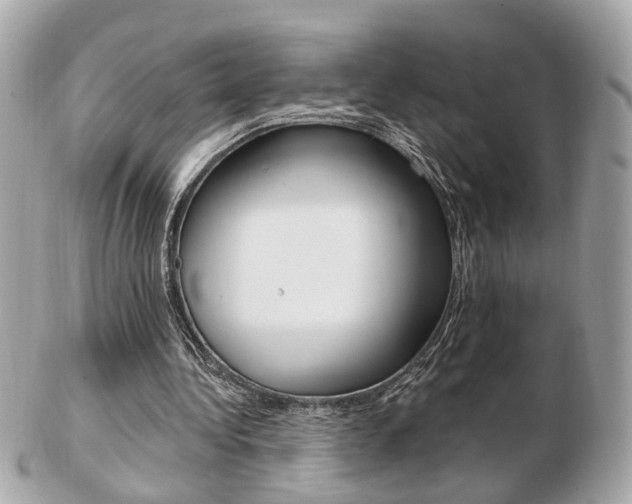 X0000103280340200808291050