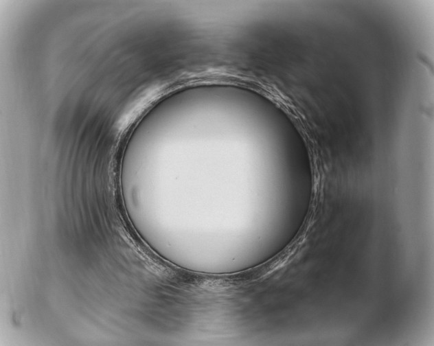 X0000103280341200808291050