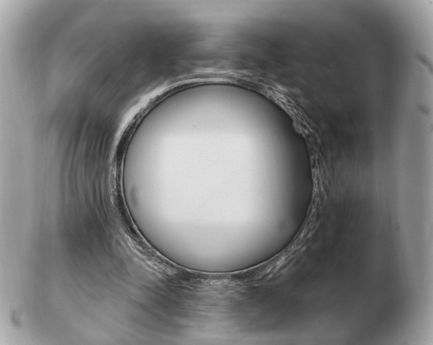 X0000103280342200808291050