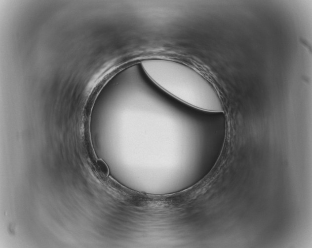 X0000103280344200808291050
