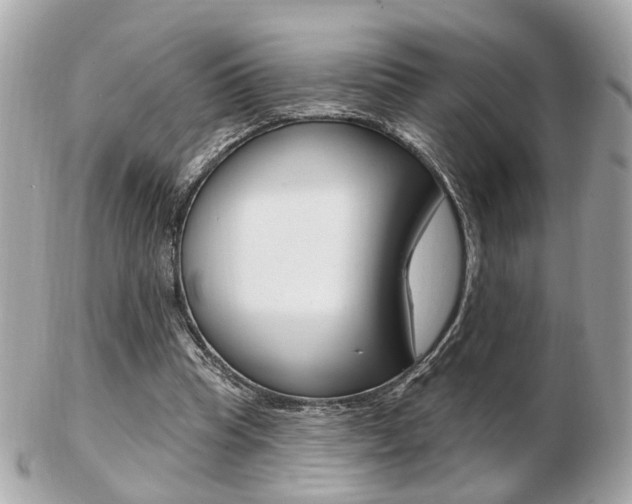 X0000103280345200808291050