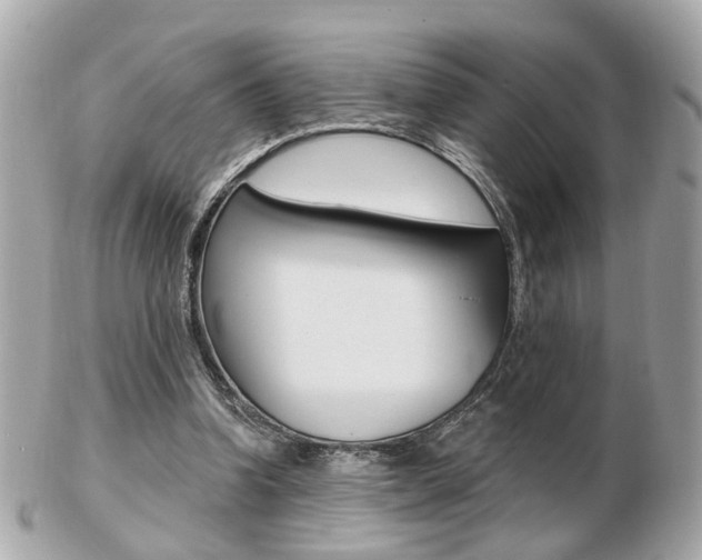 X0000103280346200808291050