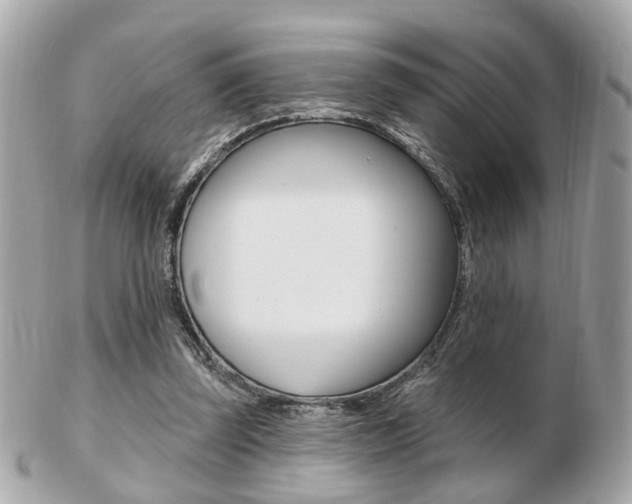 X0000103280347200808291051