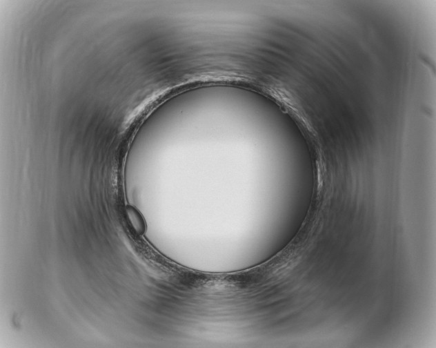 X0000103280348200808291051