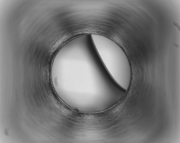 X0000103280349200808291051