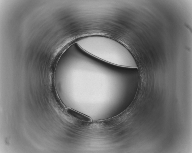 X0000103280350200808291051