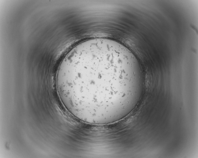 X0000103280351200808291051