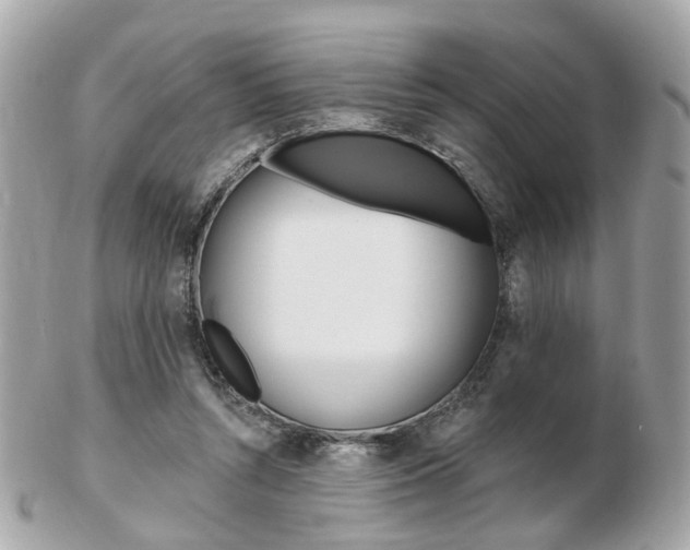 X0000103280352200808291051