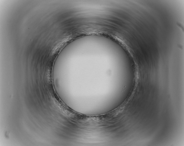 X0000103280353200808291051