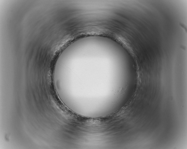 X0000103280354200808291051