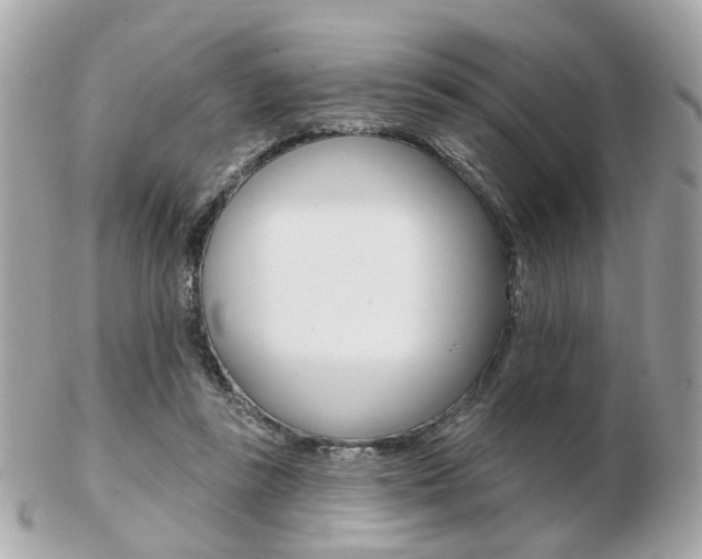 X0000103280355200808291051