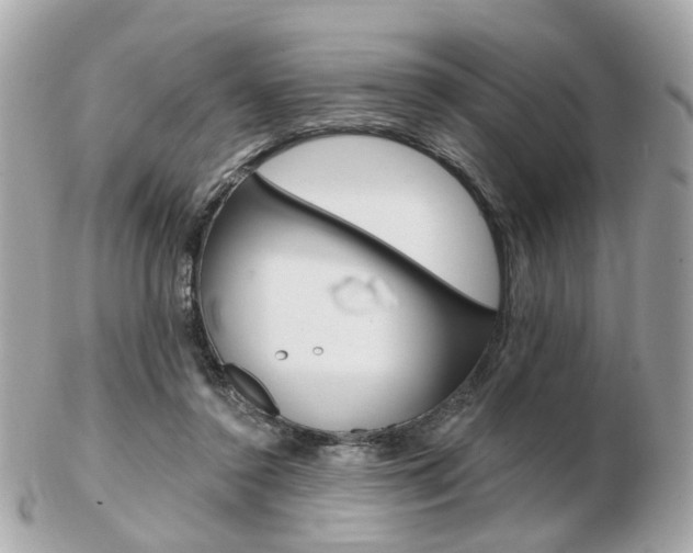 X0000103280356200808291051