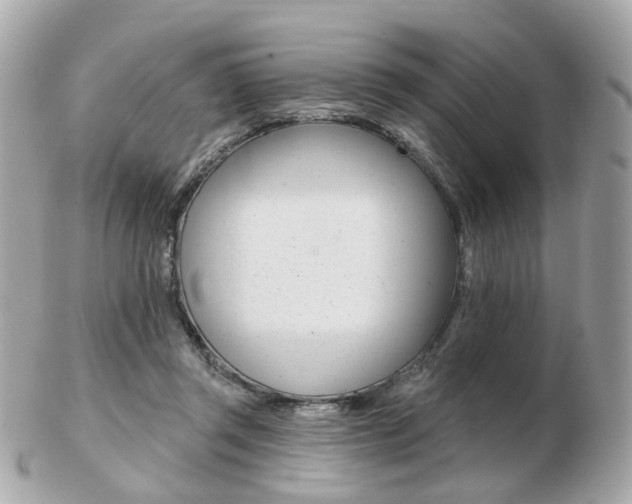 X0000103280357200808291051