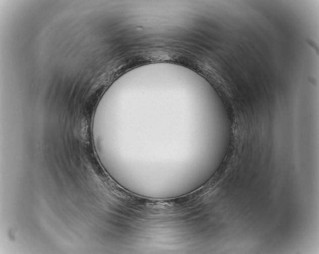 X0000103280359200808291051