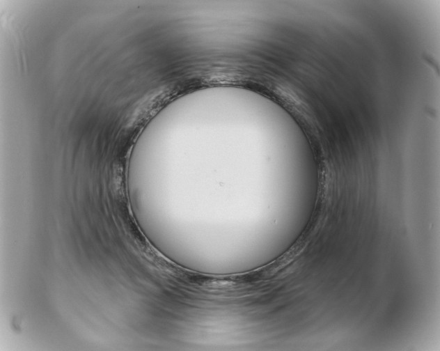 X0000103280361200808291051