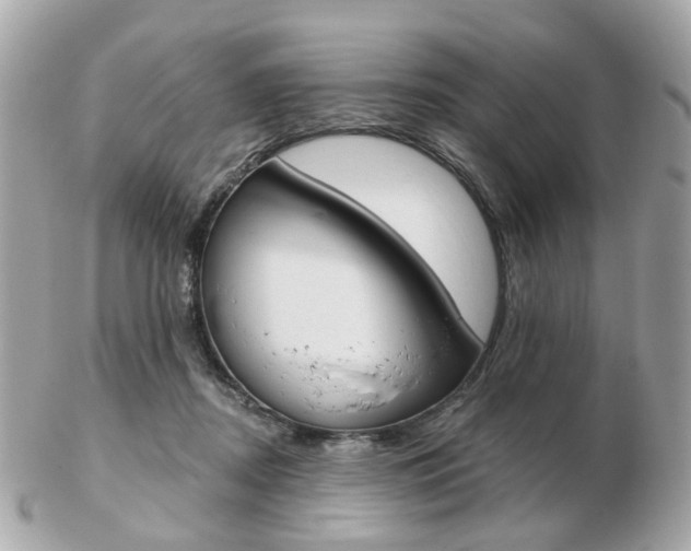 X0000103280362200808291051
