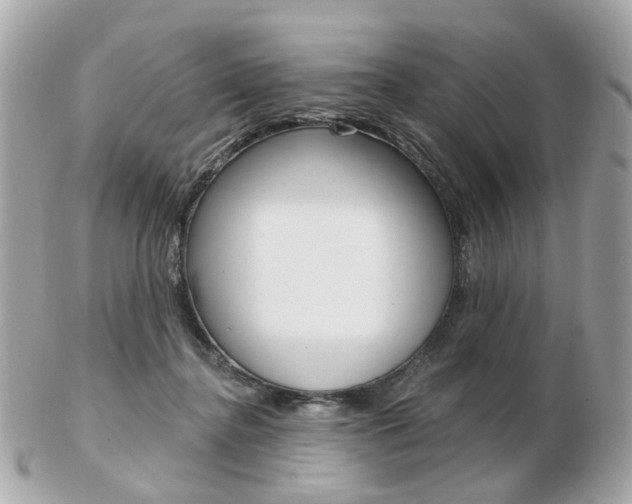 X0000103280364200808291051